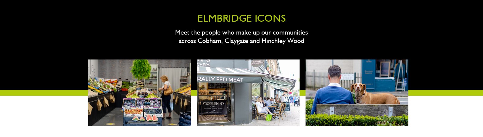 Elmbridge Icons