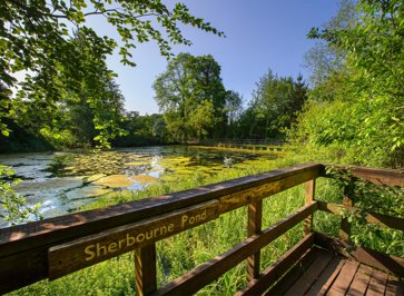 Top 5 picnic spots in Surrey